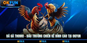 Đá gà thomo
