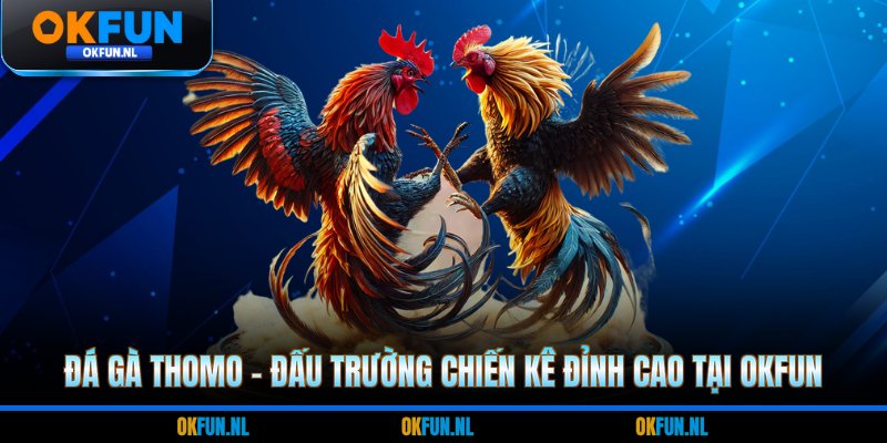 Đá gà thomo