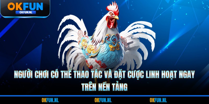Người chơi có thể thao tác và đặt cược linh hoạt ngay trên nền tảng