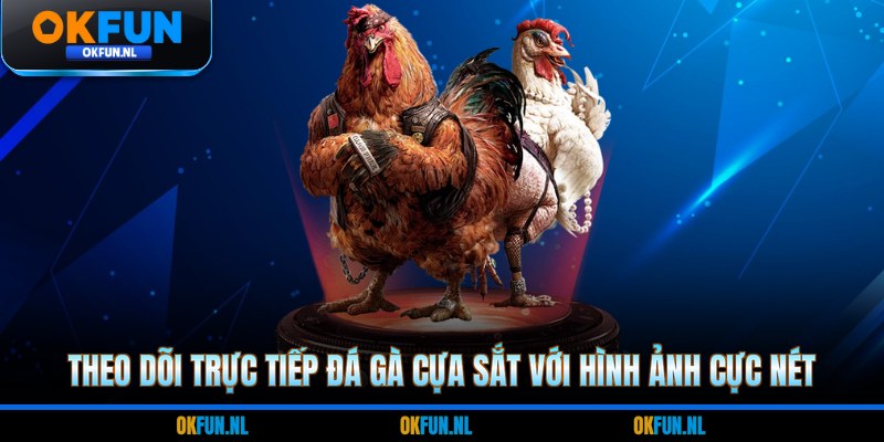 Theo dõi trực tiếp đá gà cựa sắt với hình ảnh cực nét