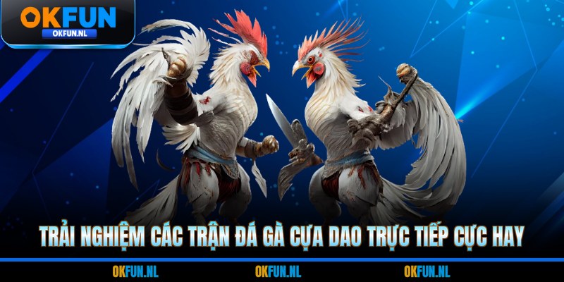 Trải nghiệm các trận đá gà cựa dao trực tiếp cực hay